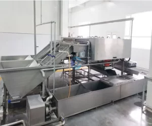 automatic egg peeling machine