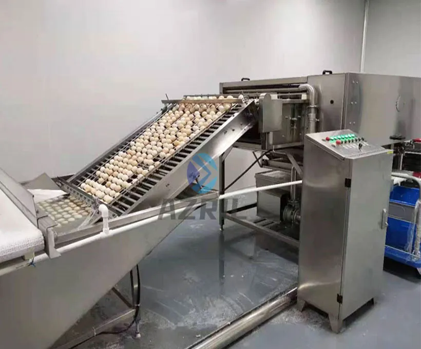 Egg Peeling Machine 