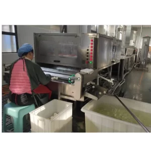 Egg boiling and peeling processing line