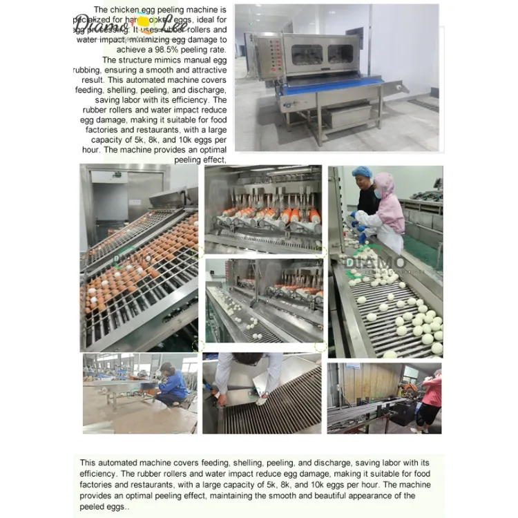 Boiled Egg Peeling Machine