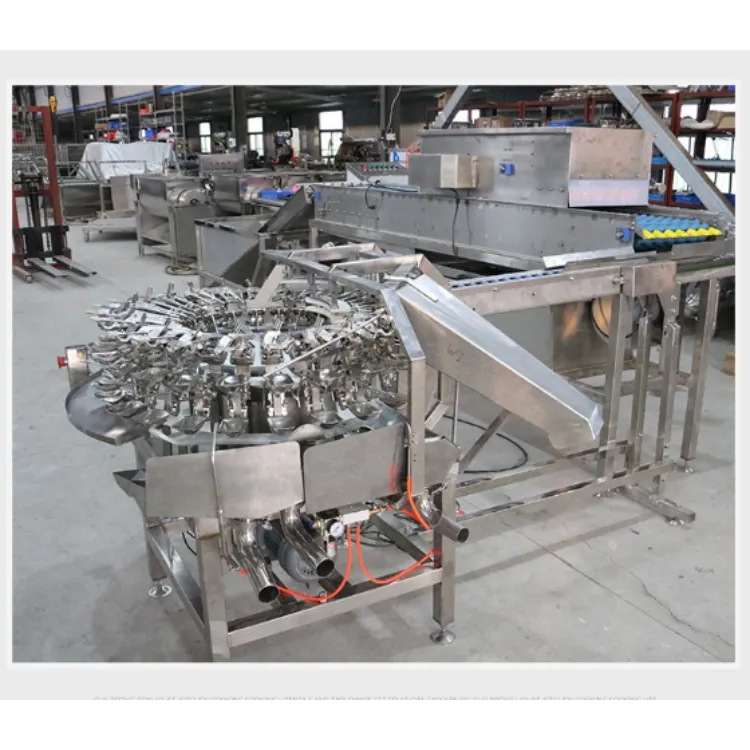 Industrial egg separator machine 