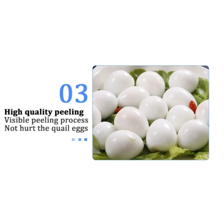 Quail egg peeling machine