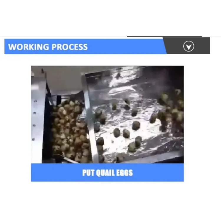 Quail egg peeling machine