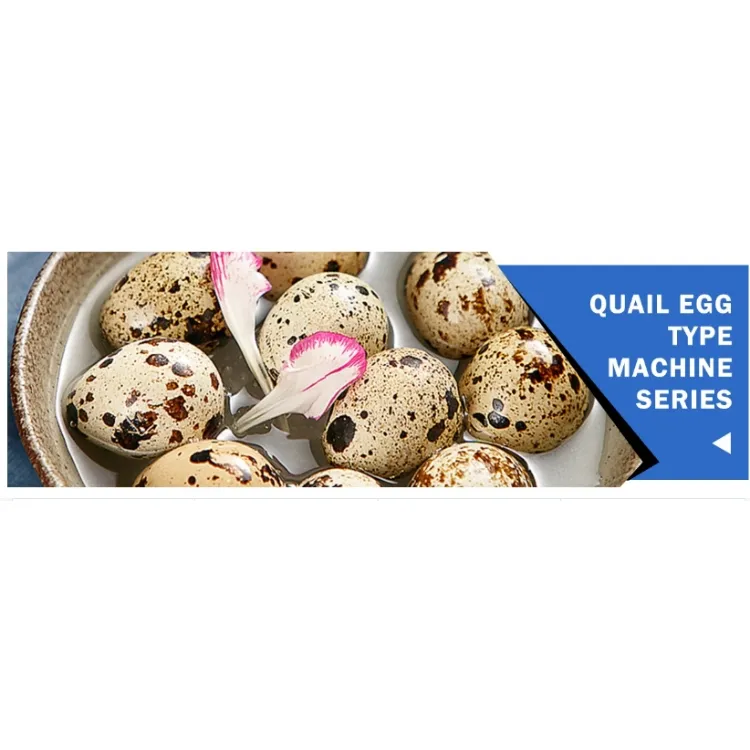 Quail egg peeling machine