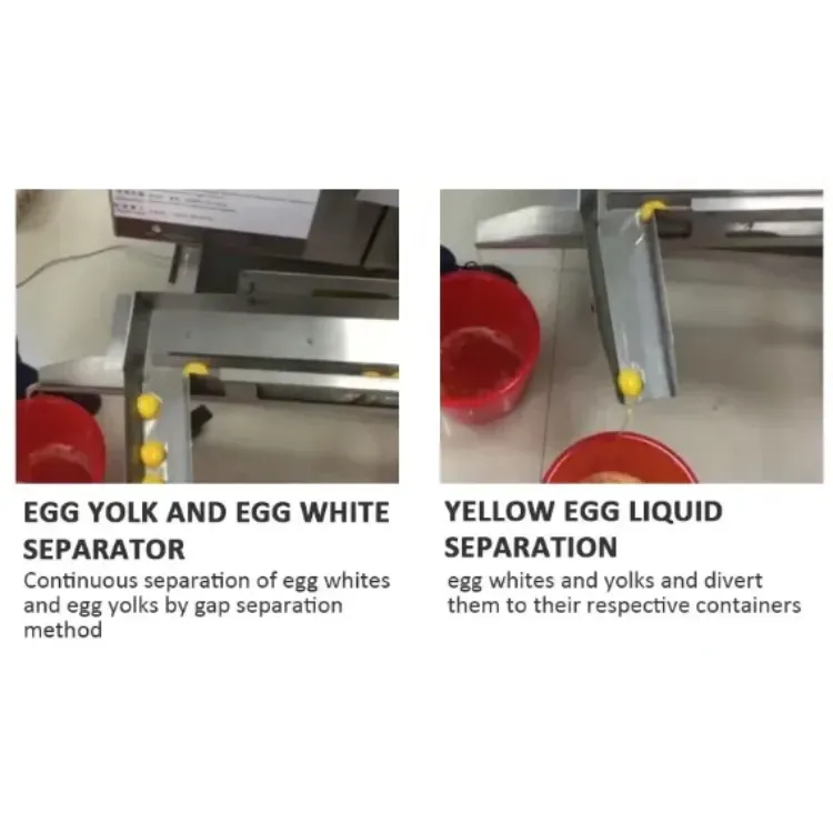 egg breaking machine 