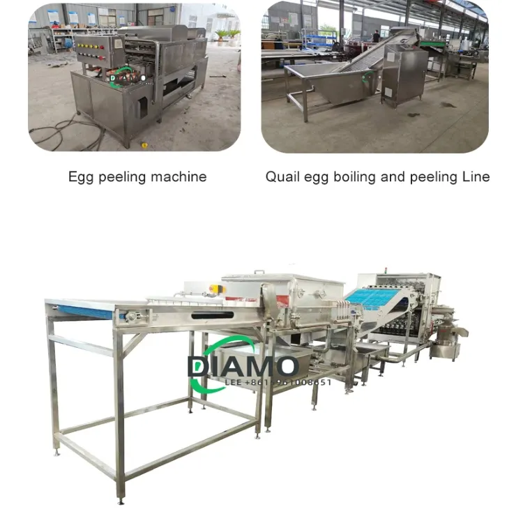 egg breaking machine