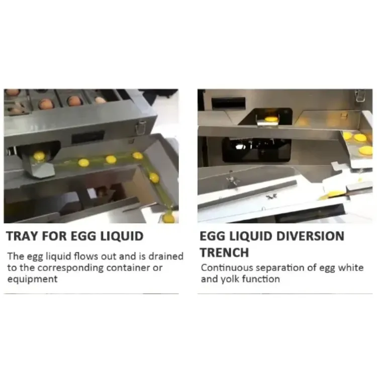 egg breaking machine