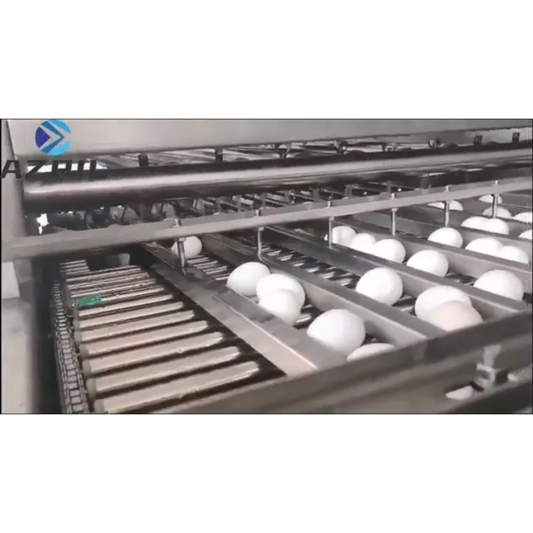 Egg Peeling Machine 