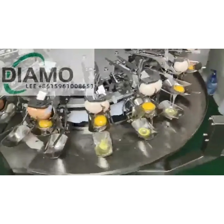 Egg Breaker & Yolk Separator Machine