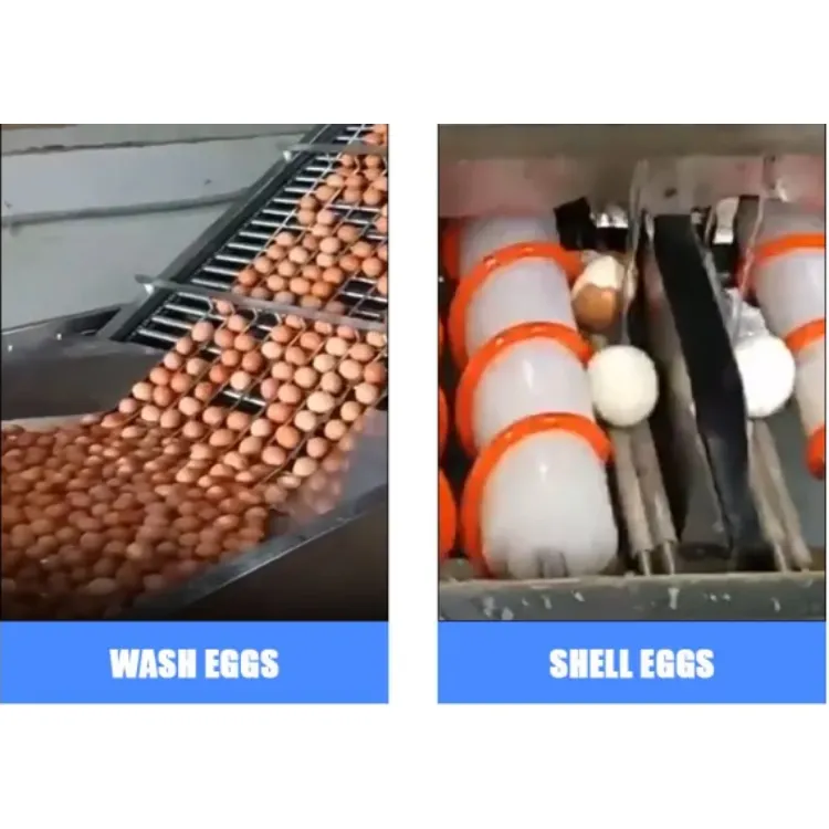 egg peeling machine