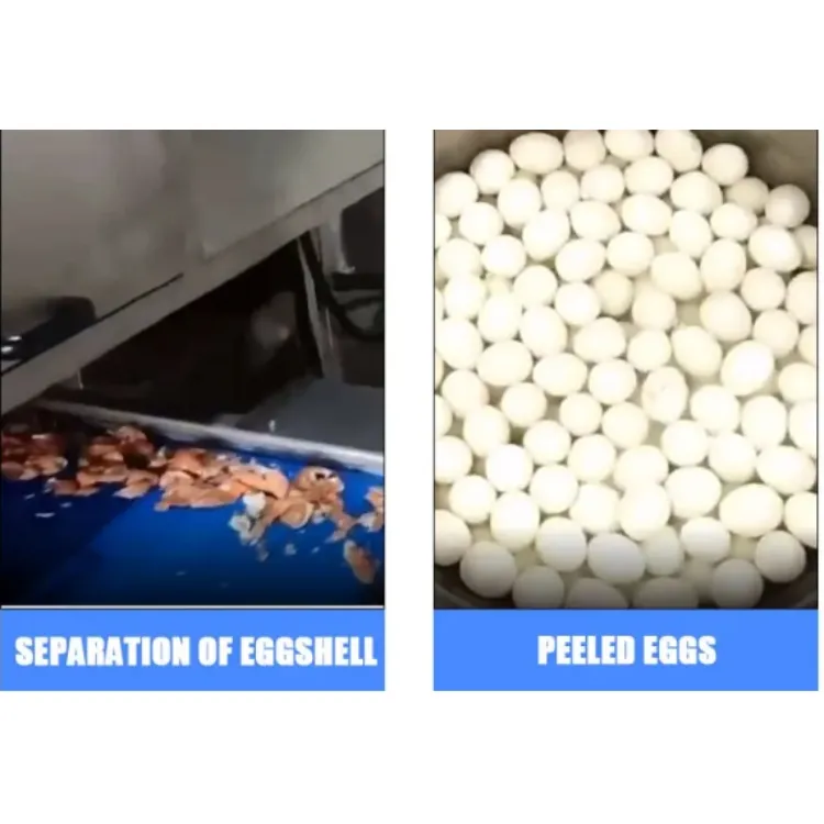 egg peeling machine