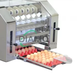 Egg Grader Machine